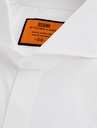 Steven Shirt