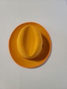 Headwear - Princeton -PR324