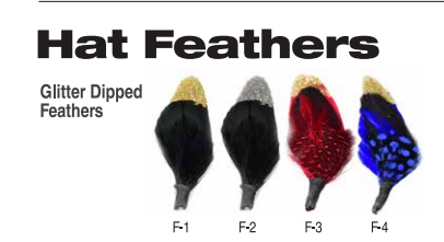  Headwear BC-1Pc Feather F1/F2/F3/f4